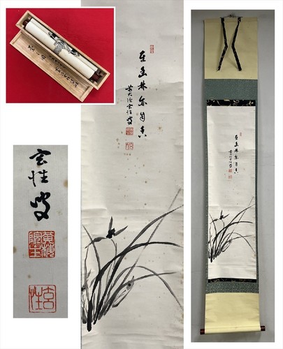 Iscrizione pittura orchidea
