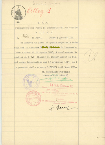 Pnf fasci combattimento - fasci,